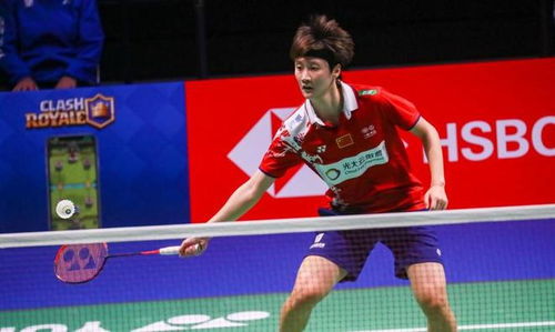 稳步提升的 稳步提升的